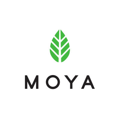 El mejor té Matcha de Moya Matcha