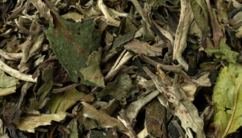 Mejor té Blanco